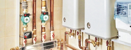 baner-kociol-ele