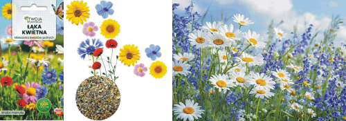 baner-nasiona-laka