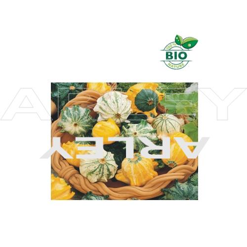 Dynia ozdobna Crown of thorns nasiona (1)