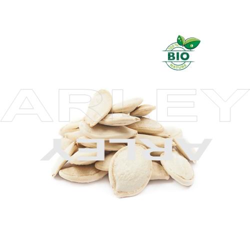 Dynia ozdobna Crown of thorns nasiona (2)