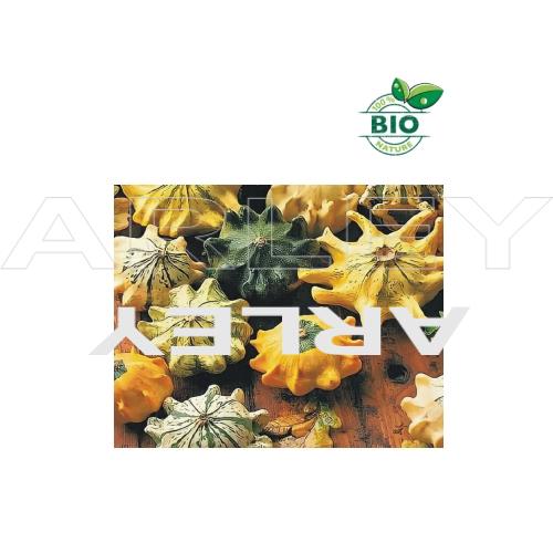 Dynia ozdobna Crown of thorns nasiona (3)