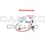 Elektroda Immergas (Z) Im138004602