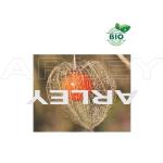 mini: Miechunka rozdęta Physalis Alkekengi nasiona (3)