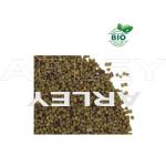 mini: Koniczyna polna Trifolium Arvense nasiona (2)