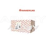 mini: Wymiennik Immergas (2)