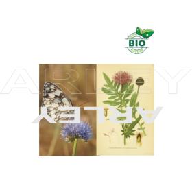 Chaber driakiewnik Centaurea Scabiosa nasiona